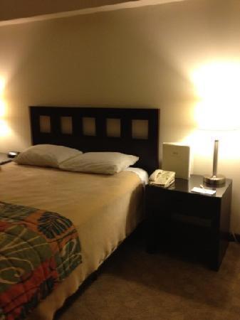 San Miguel Plaza Hotel San Juan Rum bild
